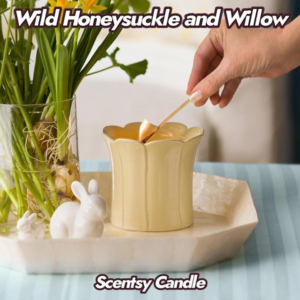 Wild Honeysuckle and Willow Scentsy Candle