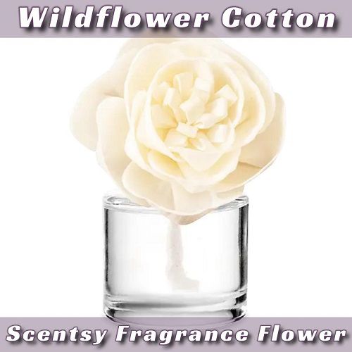 Wildflower Cotton Scentsy Fragrance Flower