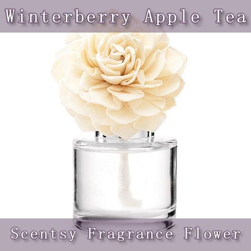 Winterberry Apple Tea Scentsy Fragrance Flower