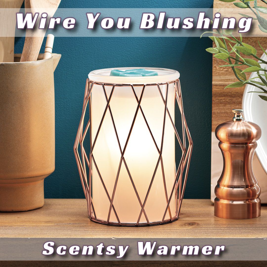 Wire You Blushing Scentsy Warmer and Bar Bundle