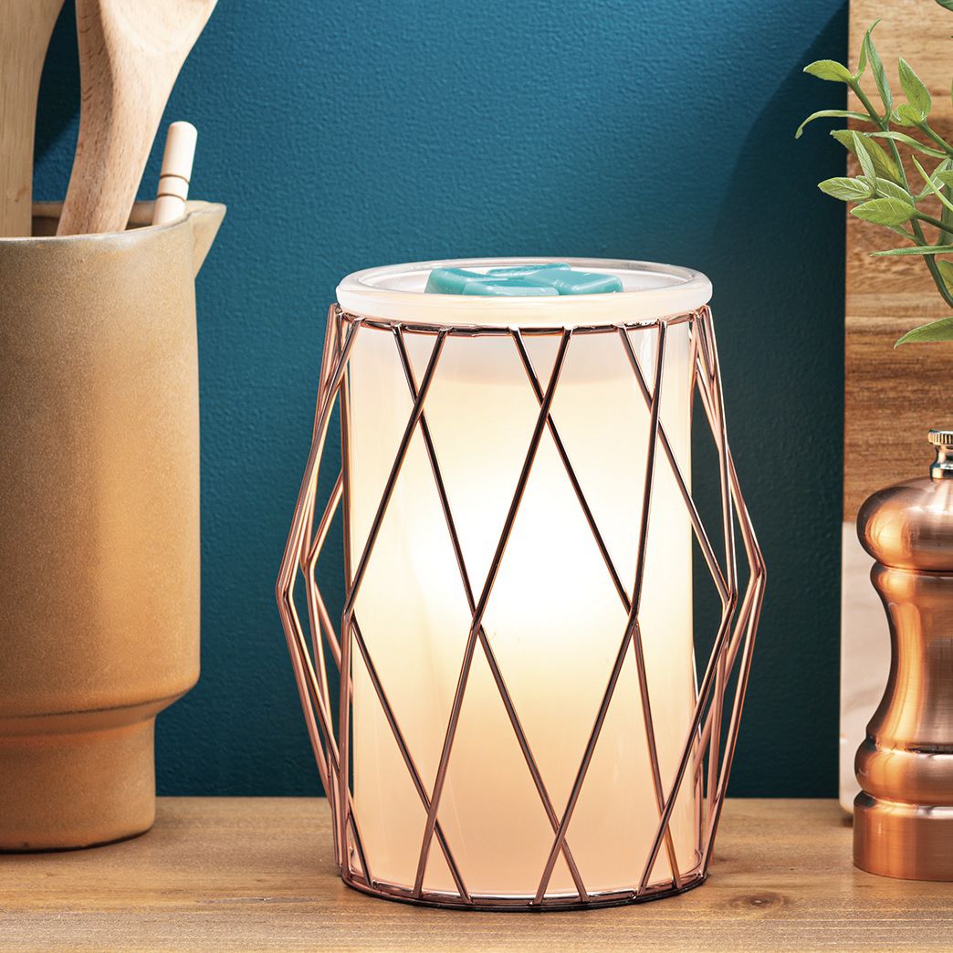 Wire You Blushing Scentsy Warmer Alt