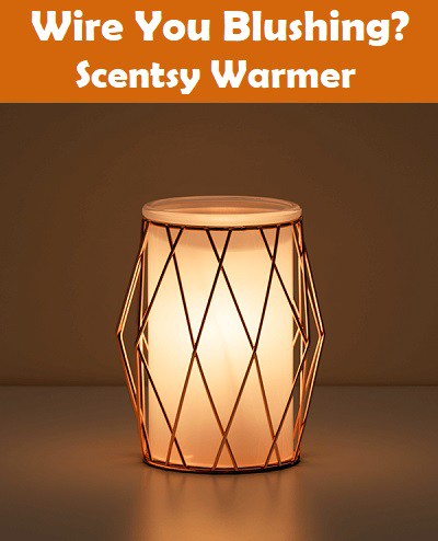 Wire You Blushing Scentsy Warmer